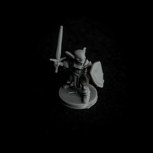 Goblin Cleric Paladin with Sword and Shield